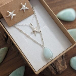 סט סטאר פיש