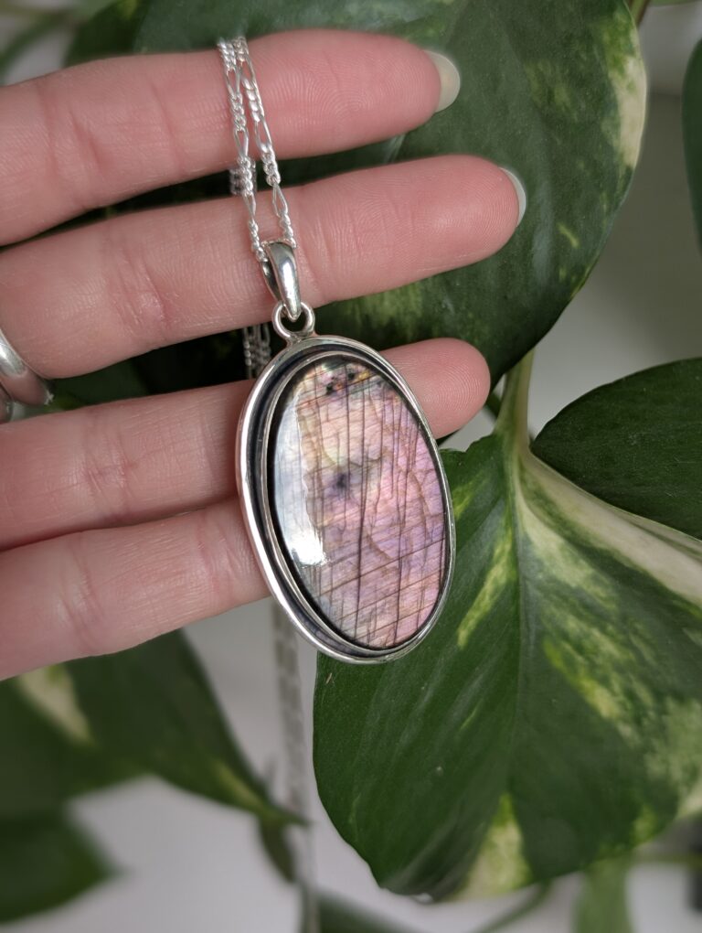 PXL_20260223_145216568.PORTRAIT