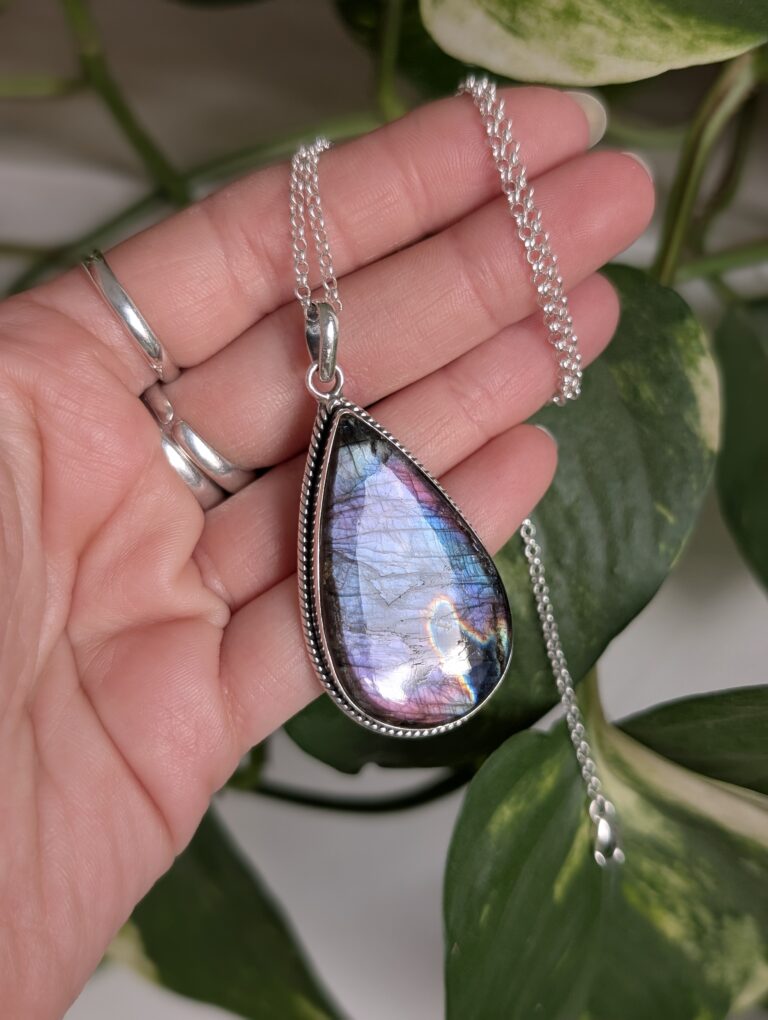 PXL_20260223_145004444.PORTRAIT