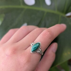 טבעת מלכית ליף