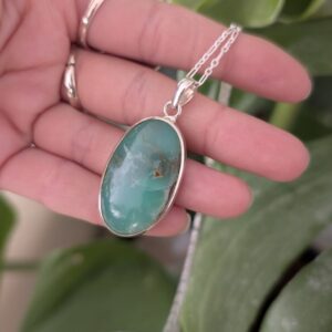 שרשרת ביג קריסופרס