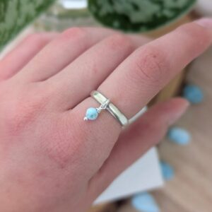 טבעת פול לרימר