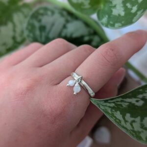 טבעת פול מונסטון