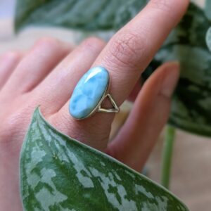 טבעת לונג לרימר