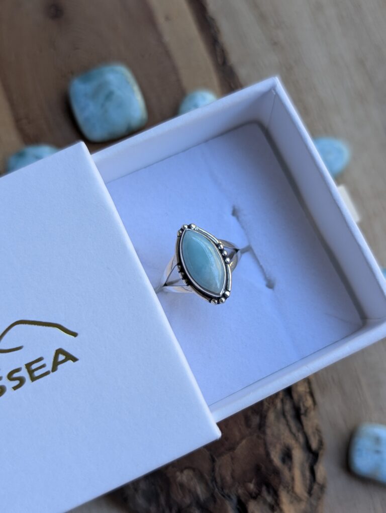 PXL_20260223_141641071.PORTRAIT