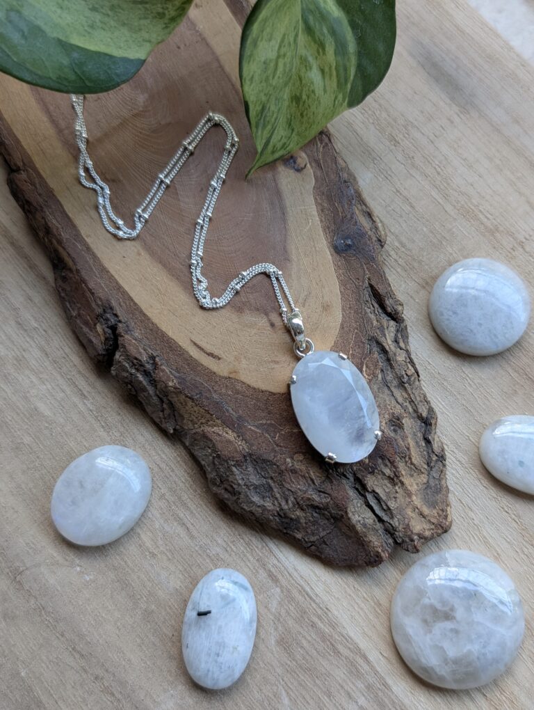 PXL_20260223_142803724.PORTRAIT.ORIGINAL