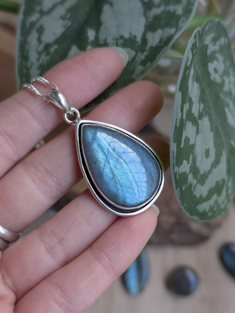 PXL_20260223_143436942.PORTRAIT