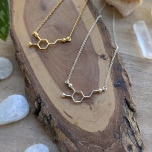 שרשרת דופמין