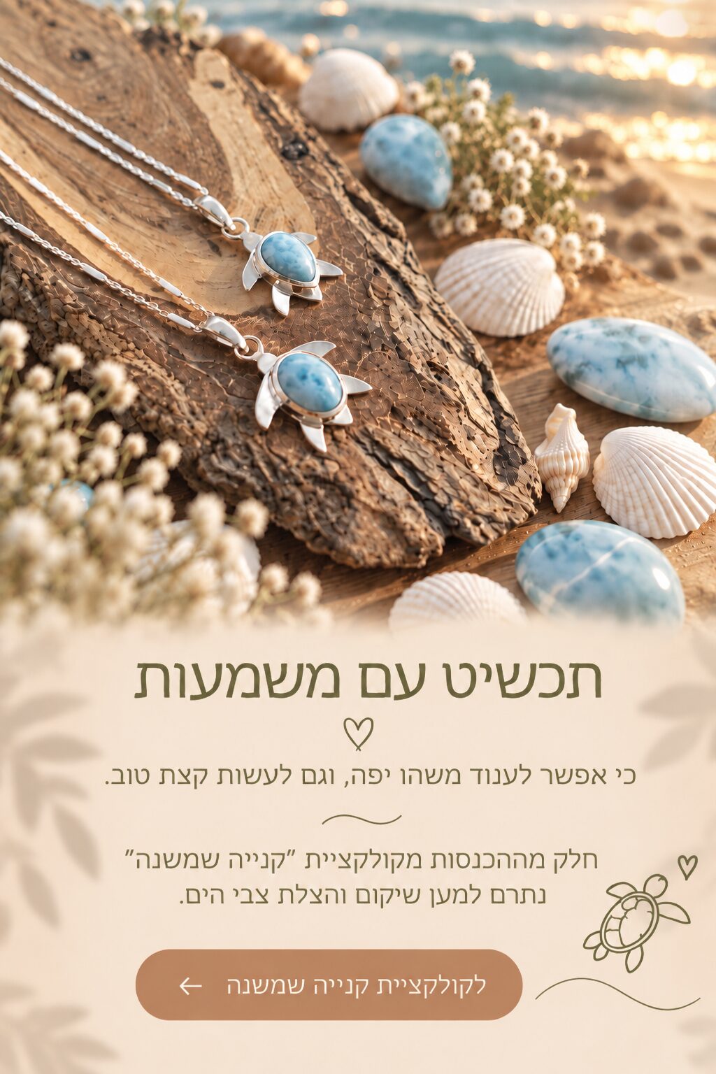 תכשיטי צבים על חוף של מnoresizeשמעות